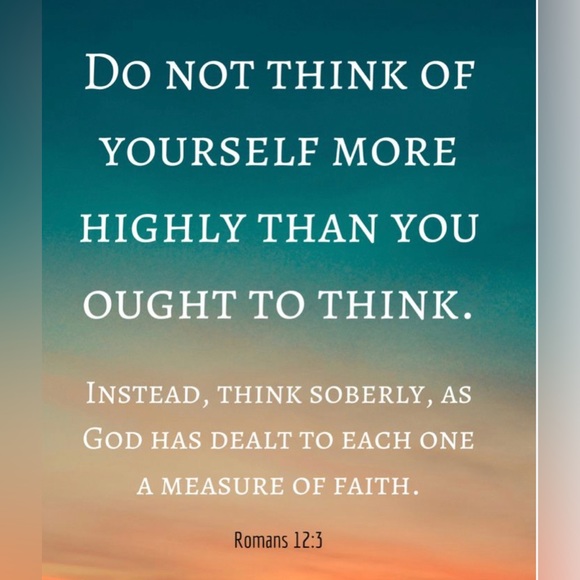 Offers - Picture 12 of 16